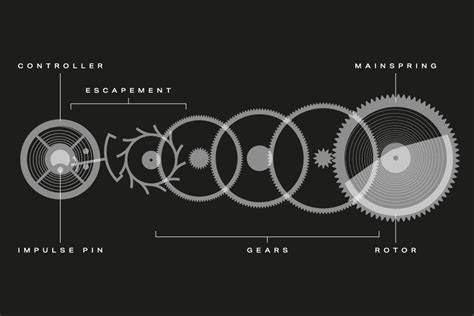 A Guide To Mechanical Watch Movements | Calibre | Watches Of Switzerland US