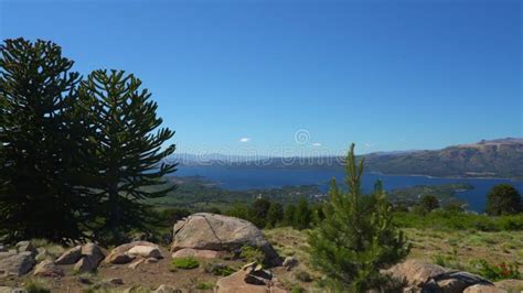 View Over Lake Lago Alumine at Batea Mahuida Volcano Stock Footage - Video of exotic, chile ...