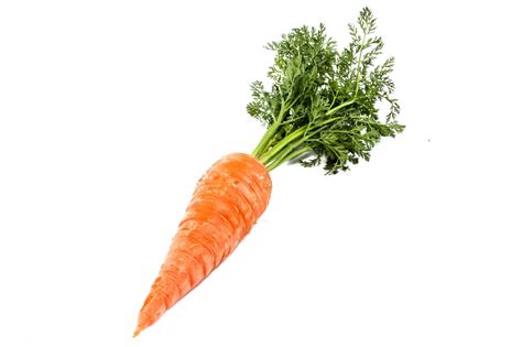 Baby carrot Stock photography - carrot png download - 1300*866 - Free ...