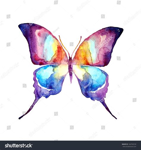 Butterflywatercolor Design Stock Illustration 164792918 | Shutterstock