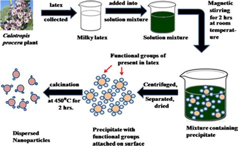 Synthesis steps of Co3O4 NPs. Copied with permission from ref. [238];... | Download Scientific ...