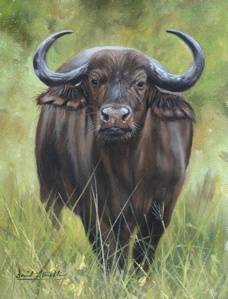 Pin by FvA on Buffalo. Buffel | Animal paintings, Animal drawings, Wildlife artists