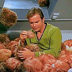 20 Years Ago 'DS9' Did 'Star Trek' Fan Fiction With 'Tribbles' Tribute ...