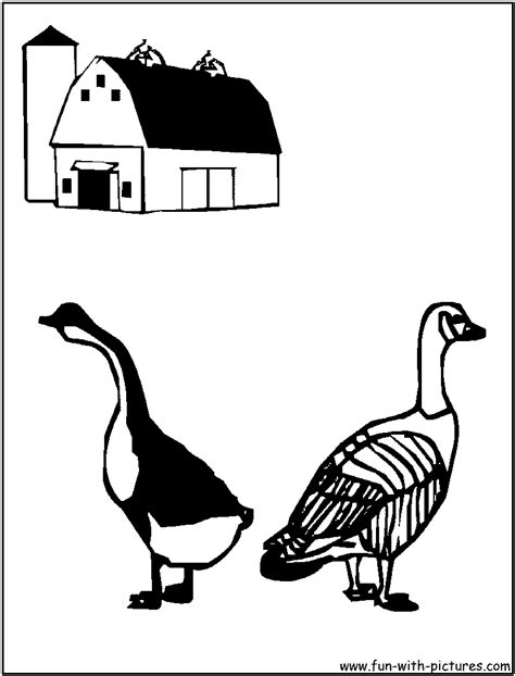 Goose Gander Coloring Page