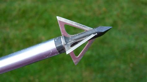 Broadheads For Crossbow Hunting | Bowhunting.com