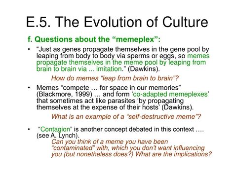 PPT - The Evolution of Culture PowerPoint Presentation, free download ...