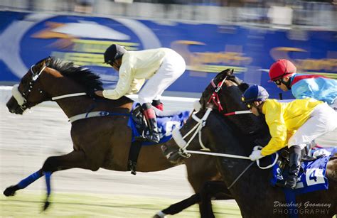 Horse racing | Dineshraj Goomany | Flickr