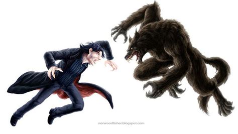 29 best Vampire vs Werewolf images on Pinterest | Vampires, The vamps and Vampire bat