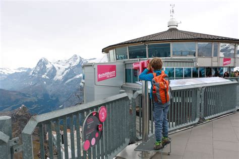 Schilthorn and Birg Thrill Walk: How to Guide (2023)