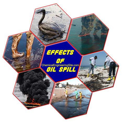 Oil Spill Effects and Cleanup Techniques - Chemical Engineering Site