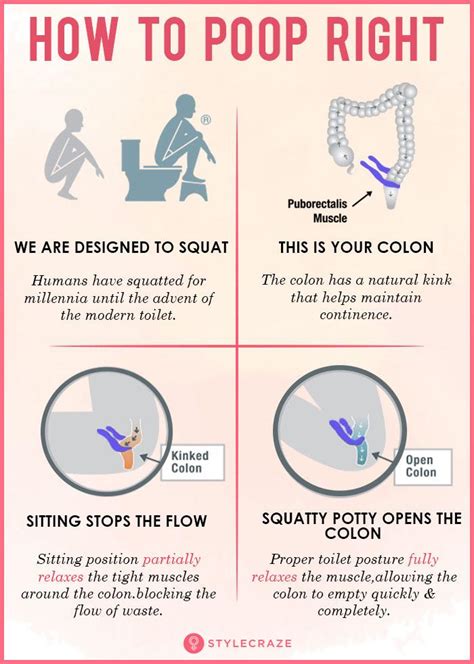 How To Help Poop - Elementchampionship Jeffcoocctax