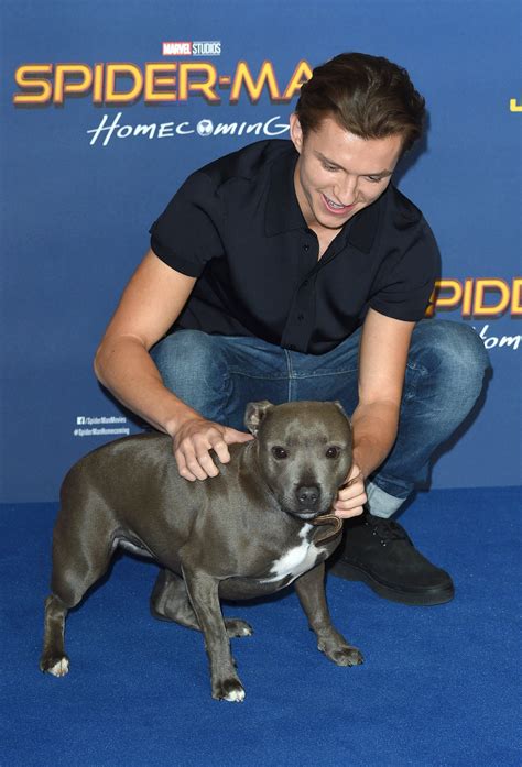 We Didn't Think Tom Holland Could Get Any Cuter, and Then We Saw Him With His Dog | Tom holland ...