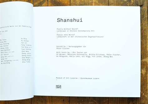 Shanshui. Poetry Without Sound? Landscape in Chinese Contemporary Art. Shanshui: Poesie ohne ...