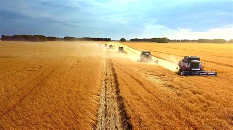 Wheat Harvest Going Strong - Mid-West Farm Report