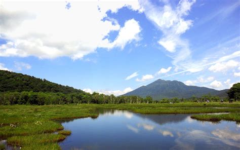 The Moors of Oze, a Japanese National Park