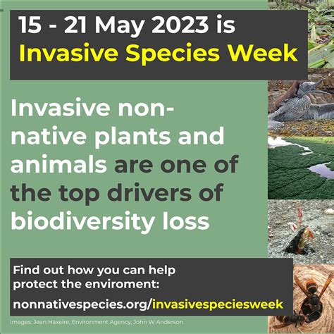 Invasive Non-Native Species Week