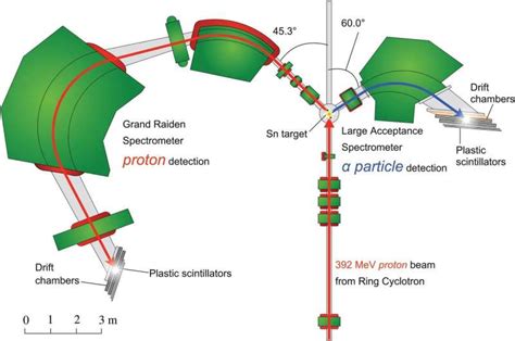 Precise measurements of cluster formation in outer neutron 'skin' of a range of tin isotopes