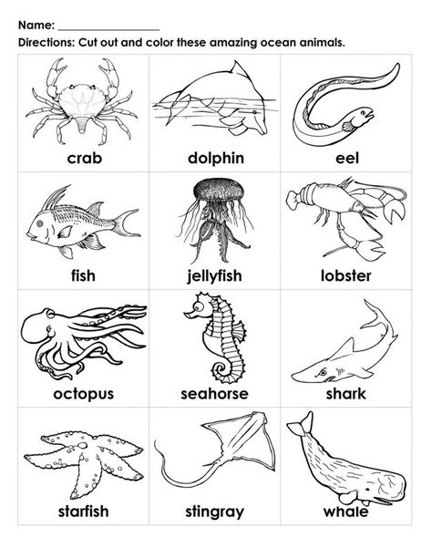 an ocean animal worksheet with pictures and words to help students ...