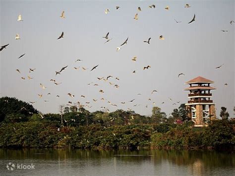 Nansha Wetland Park in Guangzhou - Klook