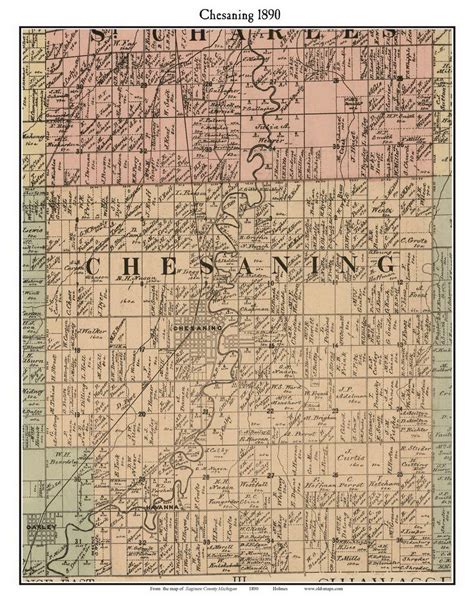 Chesaning, Michigan 1890 Old Town Map Custom Print - Saginaw Co. - OLD MAPS