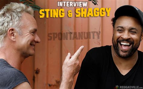 Shaggy & Sting - The 44/876 Interview