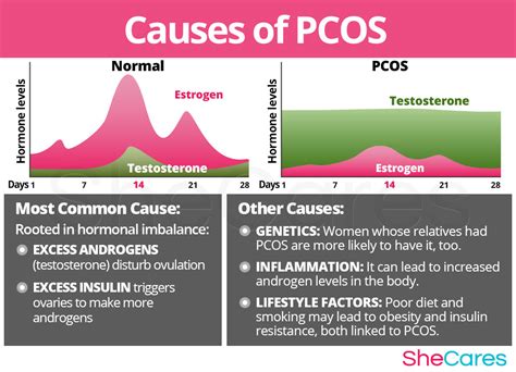 PCOS: Polycystic Ovary Syndrome | SheCares