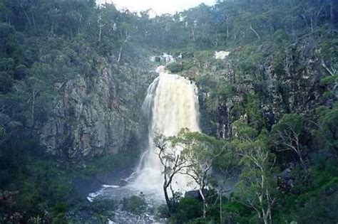 Snowy River National Park (Victoria): 2018 All You Need to Know Before You Go (with Photos)