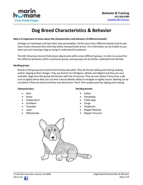 Dog Breed Characteristics and Behavior - 415. Available B&T Services ...