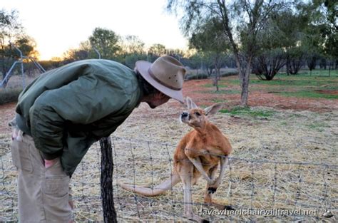 THE KANGAROO SANCTUARY ALICE SPRINGS - Have Wheelchair Will Travel