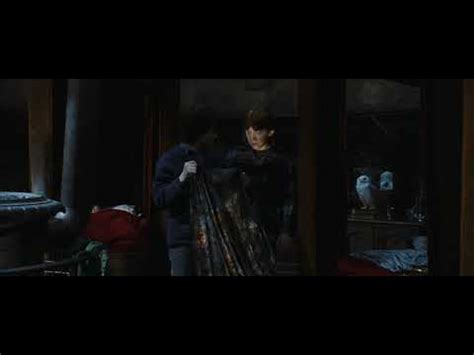 Harry and Ron use Invisibility Cloak - Harry Potter and the Chamber of Secrets Deleted Scene ...