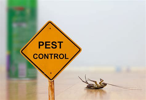 Is Preventive Pest Control Worth it?