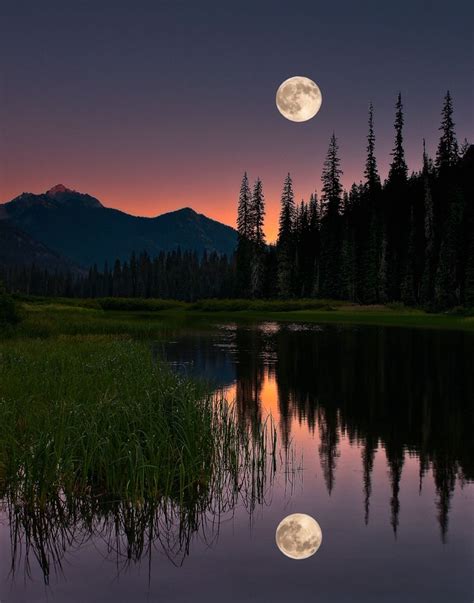 Nature Photography | Nature photography, Moonlight photography ...