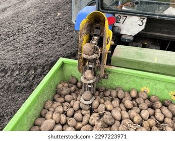 19 Potato Grading Machinery Images, Stock Photos & Vectors | Shutterstock