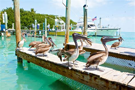 Family Friendly Guide to Key Largo, Florida - Eat, Pray, Love to Travel