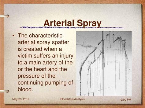 Crime Scene Reconstruction: Bloodstain Pattern Analysis - ppt download