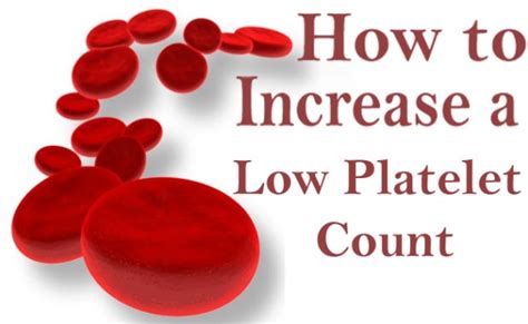 Blood platelets – Symptoms, Reason, Foods to increase blood platelets | Homeopathy Treatment ...