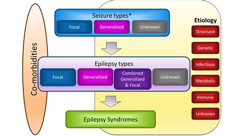 Guidelines // International League Against Epilepsy