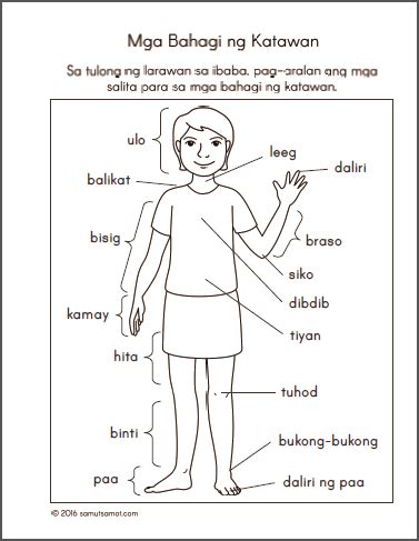 Pin on 1st grade worksheets