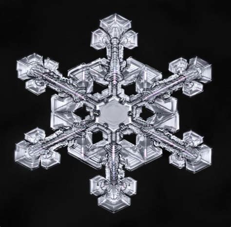 These are actual photos of Snowflakes. How is it possible they are all ...