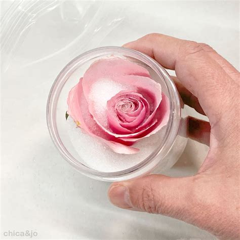 How to dry roses with silica gel | Chica and Jo