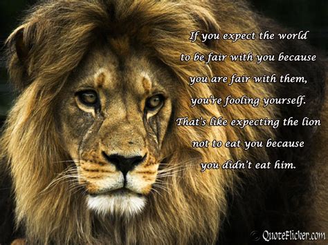 Beautiful Lion Quotes. QuotesGram