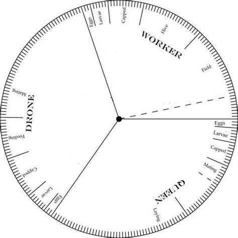 Life Cycle Wheel - Sweet Mountain Farm