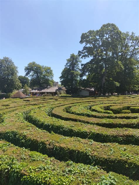 Longleat Hedge Maze – Wiltshire, England - Atlas Obscura