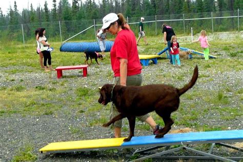 Off-Leash Dog Parks in Fairbanks, AK - BringFido