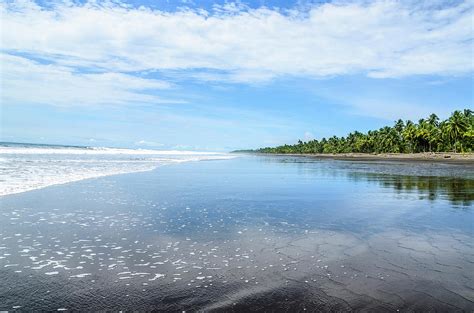 Beach From Bahia Solano Photograph by Mario A Murcia L - Fine Art America