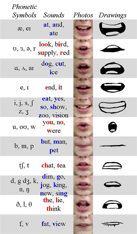 Phoneme Chart by TheEndIsNearUs on DeviantArt | Drawing tips, Anime ...