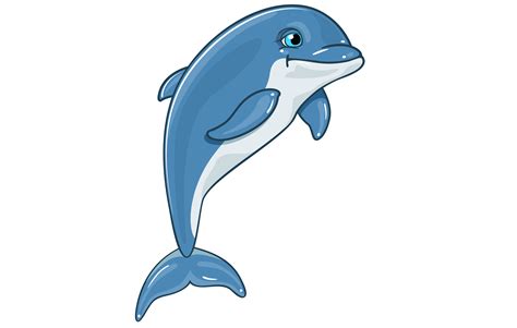 dolphins png 20 free Cliparts | Download images on Clipground 2024