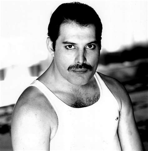 Freddie+mercury | Freddie Mercury - HQ - Freddie Mercury Photo ...