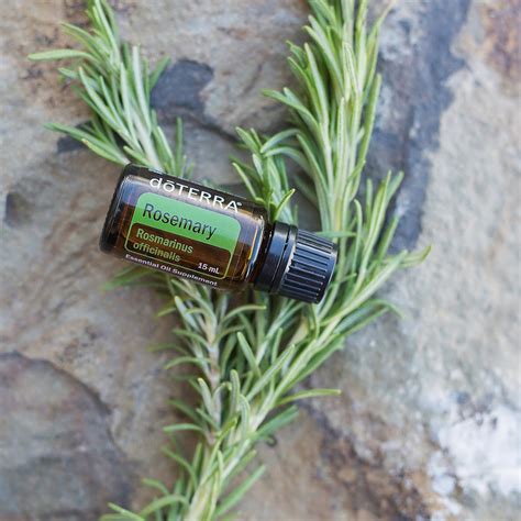 Rosemary Essential Oil – Essentially YOURS