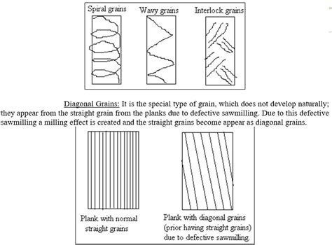 Wood Defects - Forestrypedia